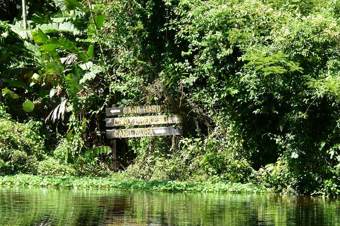Tortuguero Clasicos - 2 Tours: Canoe and Day Hike - Tour Overview