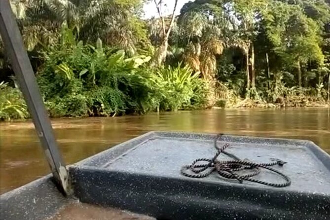 Tortuguero National Park Day Trip From San Jose - Tour Overview