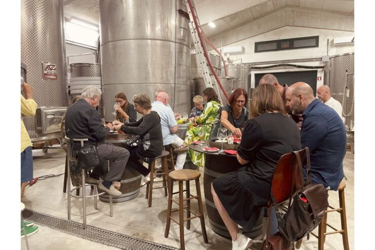 TOSCANA -Guided Tour, Wine Tasting, and Local/Syrian Bites - Activity Details