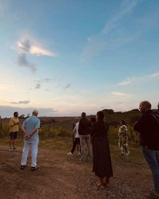 TOSCANA -Guided Tour, Wine Tasting, and Local/Syrian Bites - Experience