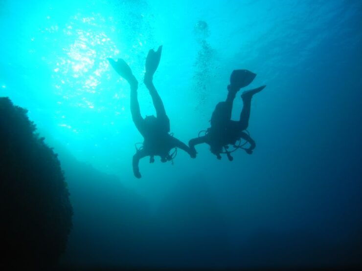 Tossa De Mar: Mar Menuda Dive Trip for Certified Divers - Dive Trip Location and Price