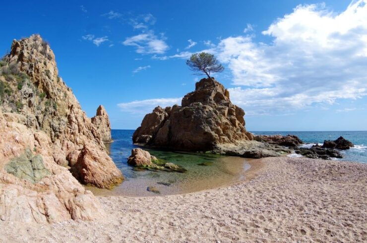 Tossa De Mar: PADI Scuba Diver Certification Course - Course Overview