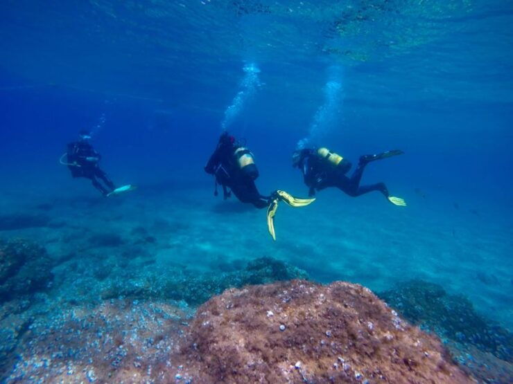 Tossa De Mar: Scuba Diving Experience for Beginners - Instructor Information