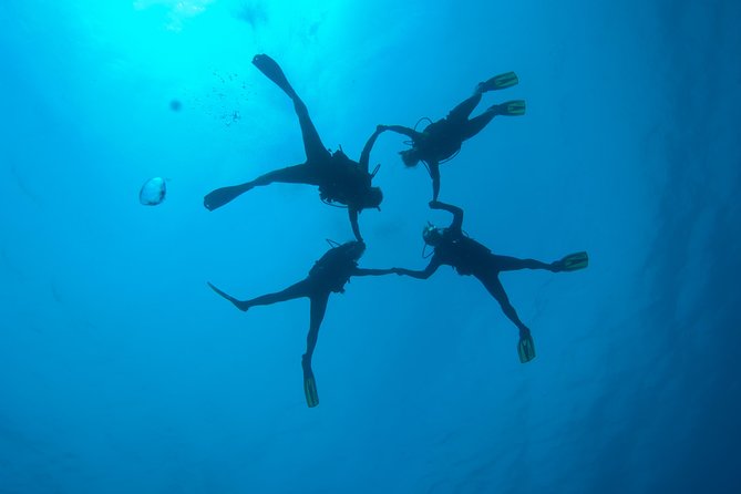 Tossa De Mar Scuba Diving PADI - Admiring and Photographing Marine Life
