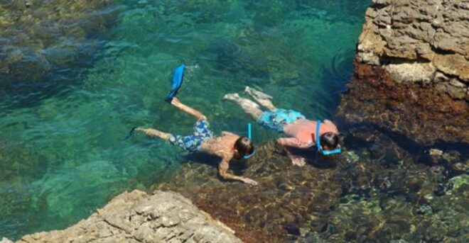 Tossa De Mar: Snorkeling Tour - Experience Description