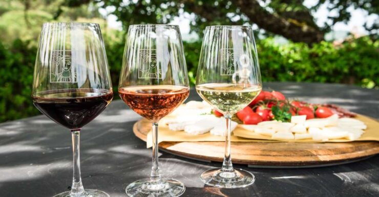 Total Immersion Experience Italian Version - Experience In-Depth Italian Winemaking