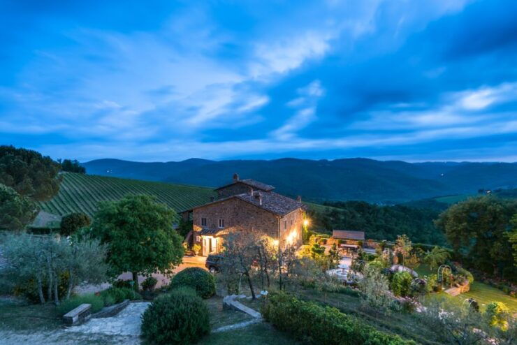 Total Immersion Wine Tour in Chianti - Experience Details