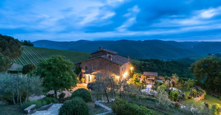 Total Immersion Wine Tour in Chianti - Booking Information