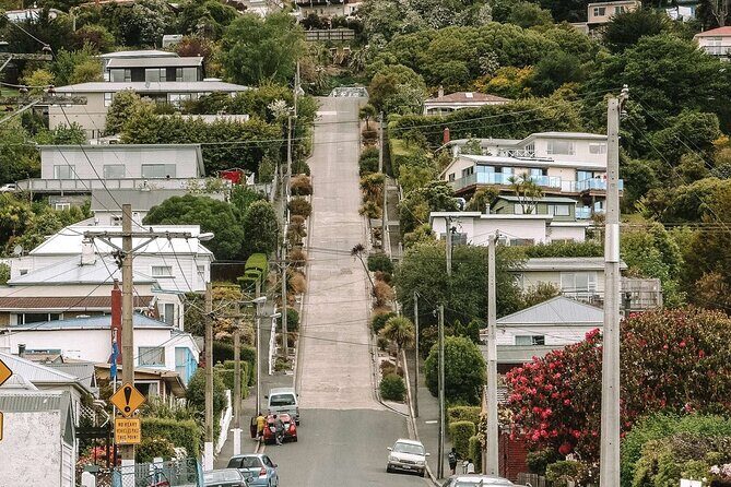 Totally Local Wildscene Private Shore Excursion With 8 travelers - The Sum Up: Who Will Love This Tour?