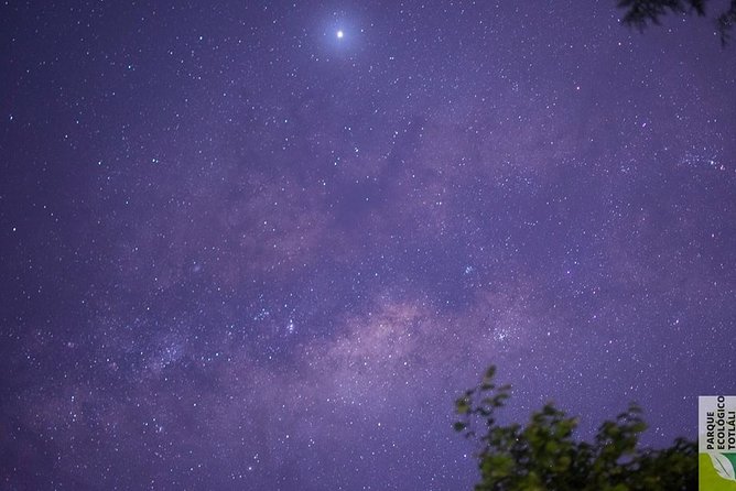 Totlali Ecological Reserve Overnight Camping Experience  - Central Mexico - Wildlife Spotting and Stargazing Opportunities