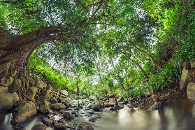 Totlali Ecological Reserve Overnight Camping Experience  - Central Mexico - Common Questions