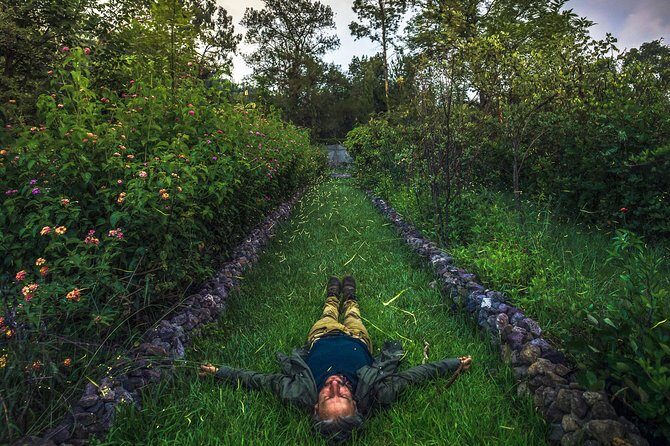 Totláli fireflies sighting - Good To Know