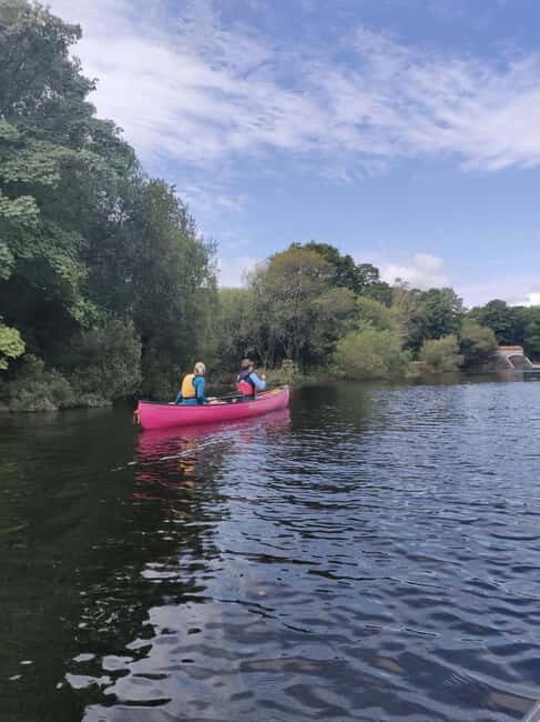 Totnes: Canoe the River Dart - The Overall Value