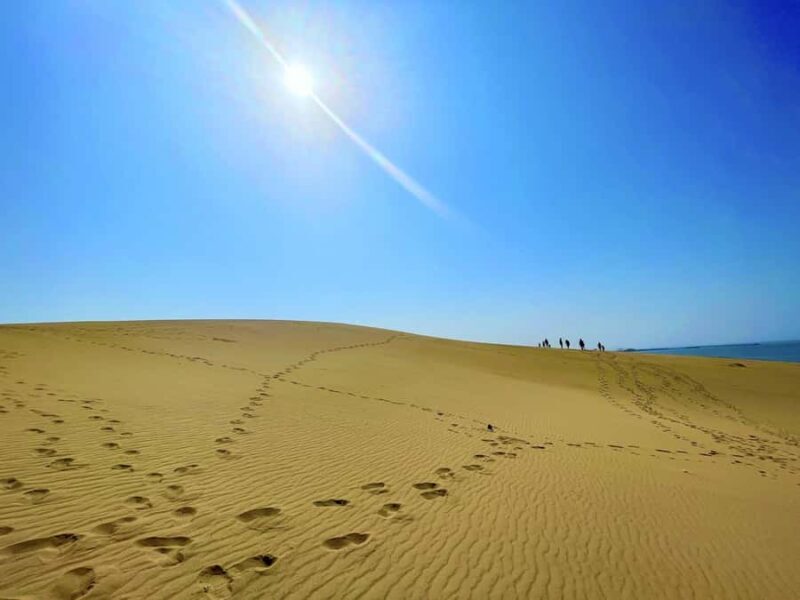 Tottori: Guided Walk through the Tottori Sand Dunes - Good To Know