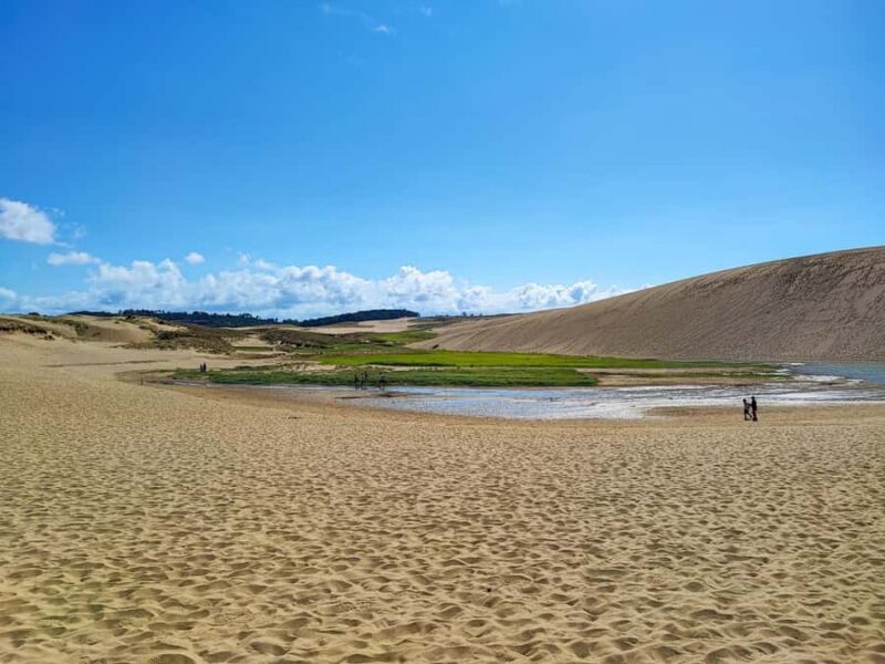 Tottori: Guided Walk through the Tottori Sand Dunes - Who Should Take This Tour?