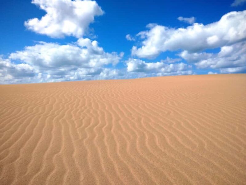 Tottori: Guided Walk through the Tottori Sand Dunes - Good To Know