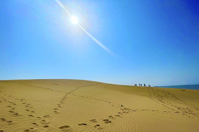 Tottori: Guided Walk through the Tottori Sand Dunes - Who Will Love This Tour?