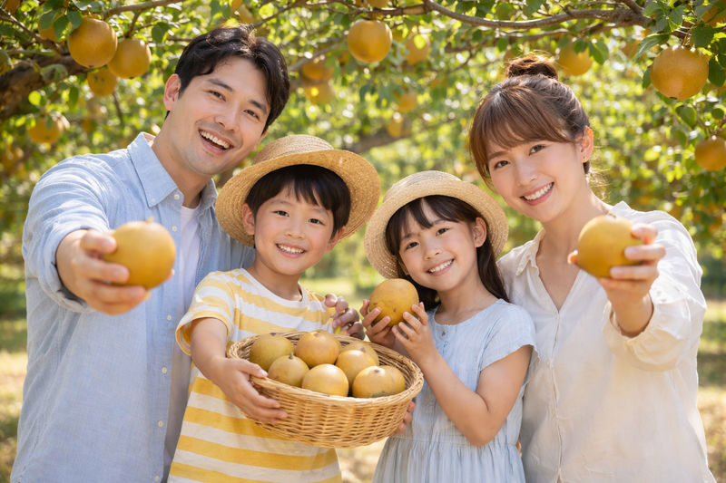 Tottori Sand Dunes & Sand Museum & All-You-Can-Eat Pear Picking (Departing from Osaka) - What to know before you go