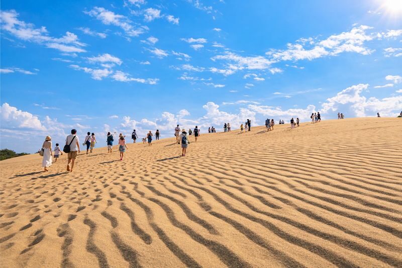 Tottori Sand Dunes & Sand Museum & All-You-Can-Eat Pear Picking (Departing from Osaka) - Osaka to Tottori: a long ride with a useful payoff