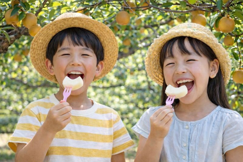 Tottori Sand Dunes & Sand Museum & All-You-Can-Eat Pear Picking (Departing from Osaka) - Sankouen pear picking: fruit straight from the orchard