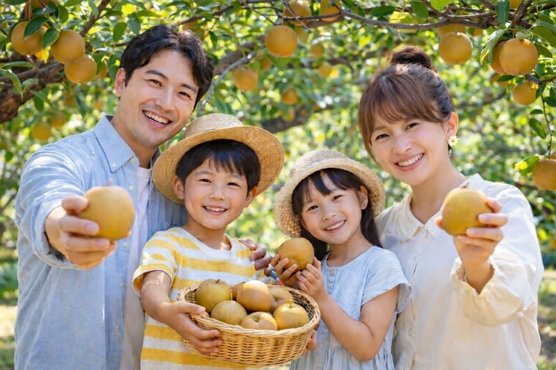 Tottori Sand Dunes & Sand Museum & All-You-Can-Eat Pear Picking (Departing from Osaka) - Should you book this Tottori day trip?