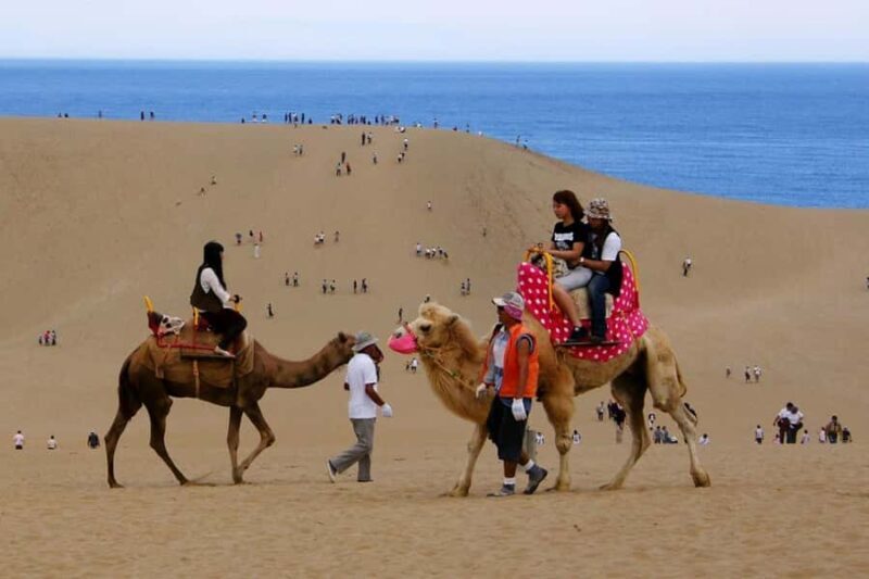 Tottori: Sand Dunes & Sea Coast Private Tour with Pickup - Discovering Tottori: An Unusual Gem in Japan
