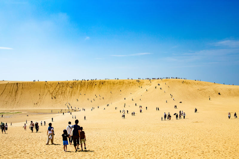 Tottori Sand Dunes & Uradome Coast Full-Day Bus Tour - What to know before booking