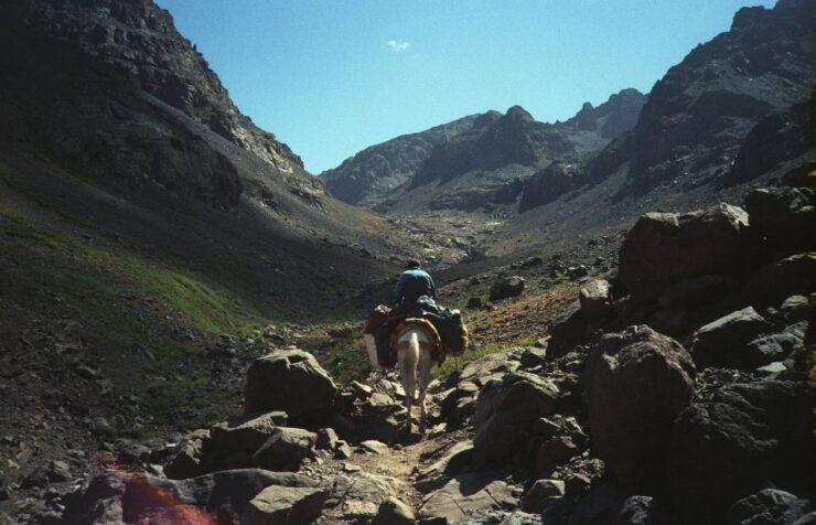 Toubkal 2 Days , Toubkal 2 Jour Trek, Toubkal 2dias - Booking Details