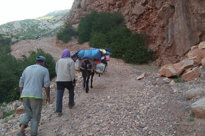 Toubkal Ascent Private 3-Days Tour - Pickup Instructions