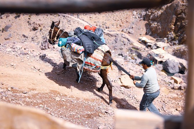 Toubkal Trekking 2 Days - Common Questions