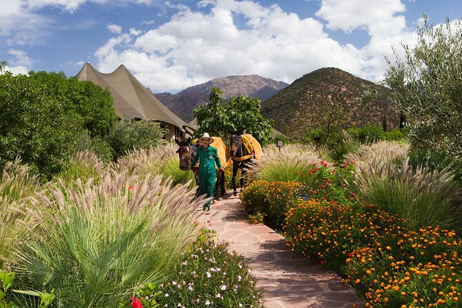 Toubkal Trekking Tour From Casablanca ( Private Atlas Trek ) - Tour Information