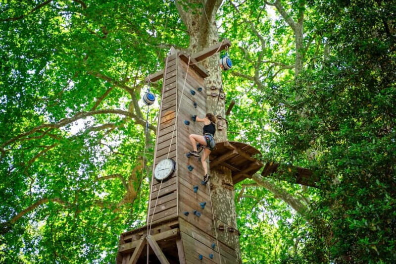 Toulon: Tree climbing course - Good To Know  