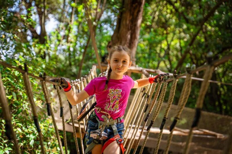 Toulon: Tree climbing course - The Sum Up  