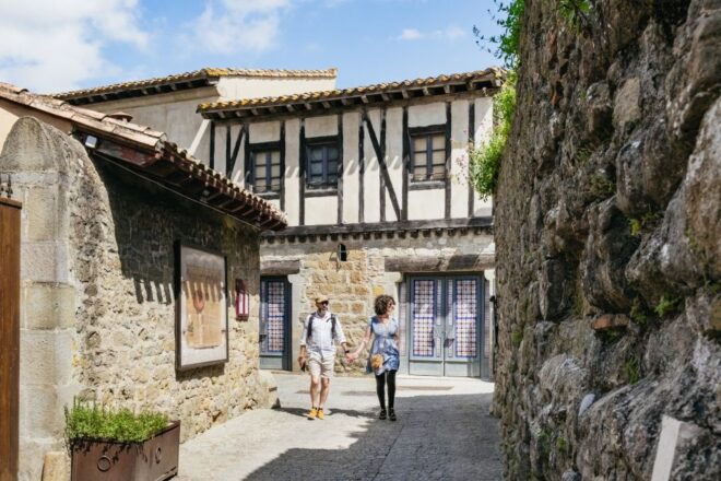 Toulouse: Carcassonne Day Trip - Driver Information