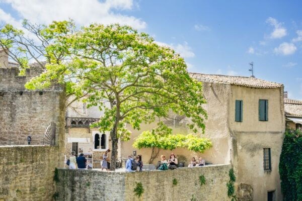 Toulouse: Carcassonne Day Trip - Transportation Details