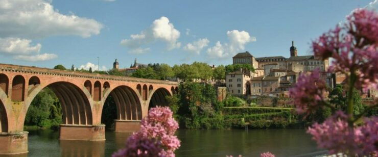 Toulouse: Guided Tour of the Historic Center - Tour Details
