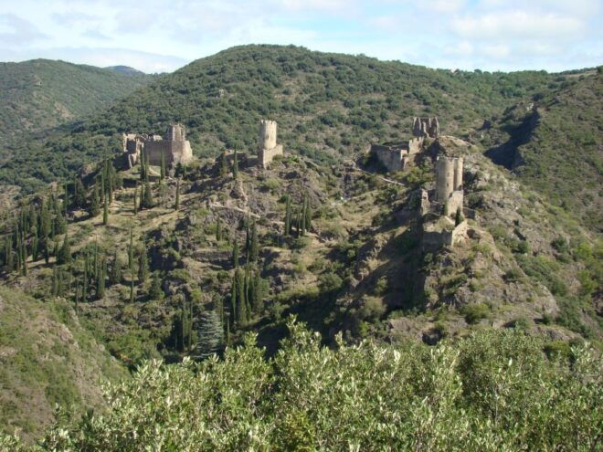 Toulouse to Carcassonne & Albi: Private Sightseeing Tour - Tour Description