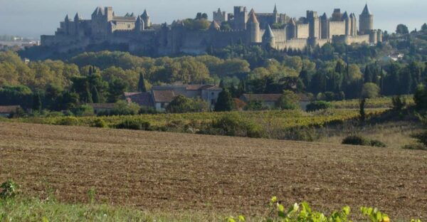 Toulouse to Carcassonne & Albi: Private Sightseeing Tour - The Sum Up