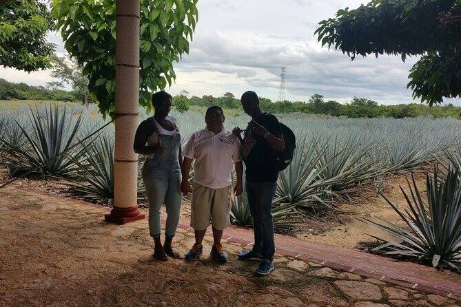 Tour 3-Day Private Yucatan Peninsula Tour Including Mayan Community - In-Depth Look at the 3-Day Yucatan Adventure