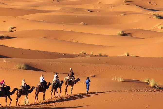 Tour 3 Days 2 Nights to Merzouga Desert From Marrakech - Tour Highlights