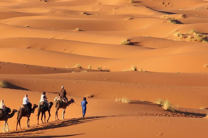 Tour 3 Days 2 Nights to Merzouga Desert From Marrakech - Cancellation Policy