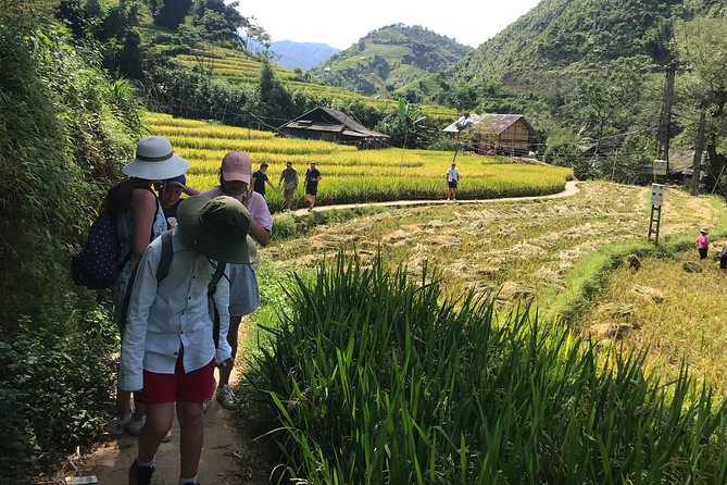 Tour 3* Sapa Package 3D2N: Cat Cat - Lao Chai - Ta Phin/Ham Rong From Hanoi City - Booking and Contact Details