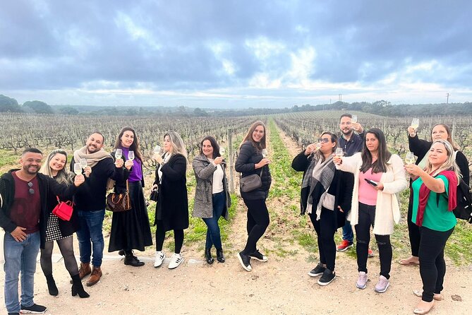 Tour 3 Wineries With Wine Tasting in Lisbon in the Setúbal Region - Tour Logistics
