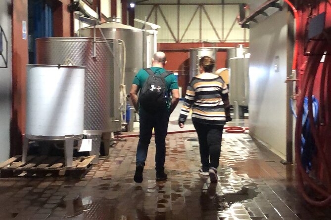 Tour 3 Wineries With Wine Tasting in Lisbon in the Setúbal Region - Tour Requirements