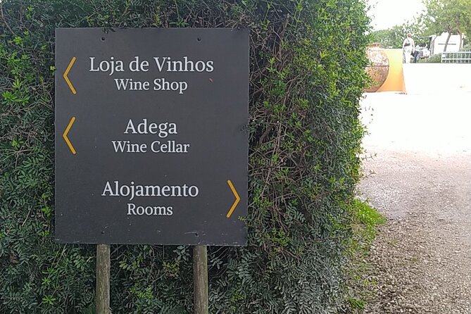 Tour 3 Wineries With Wine Tasting in Lisbon in the Setúbal Region - Booking Information