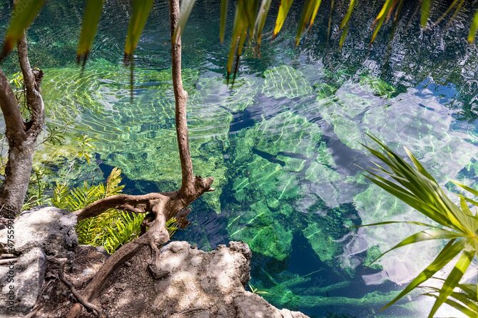 Tour 4 Cenotes Casa Tortuga Tulum. Food Zipline. Includes Pickup. - Common Questions