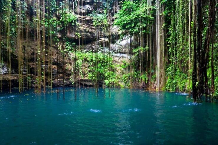Tour 4x1, Tulum, Coba, Cenote and Playa Del Carmen - Itinerary Highlights