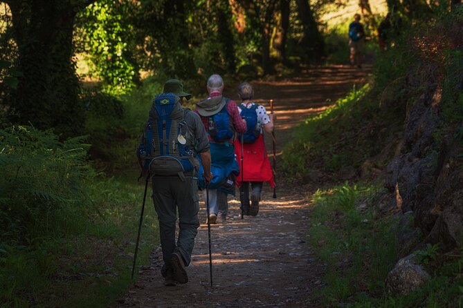 Tour 8 Days Camino De Santiago From Tui to Santiago De Compostela - Pricing and Value