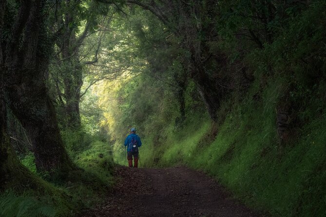 Tour 8 Days Camino De Santiago From Tui to Santiago De Compostela - Booking and Logistics