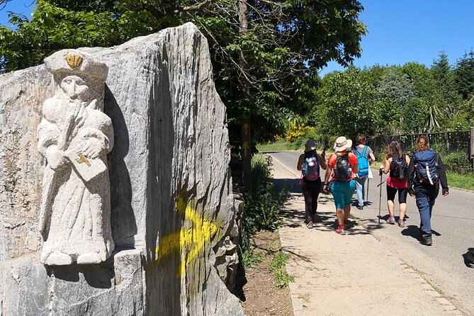 Tour 8 Days Camino De Santiago From Tui to Santiago De Compostela - Cancellation Policy